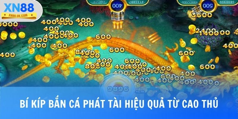 Bí kíp bắn cá phát tài hiệu quả từ cao thủ