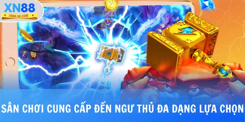 Sân chơi cung cấp đến ngư thủ đa dạng những sự lựa chọn