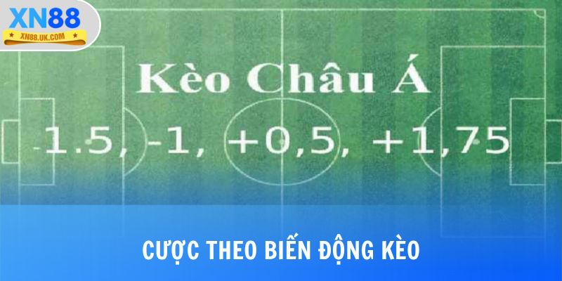 Cược theo biến động kèo