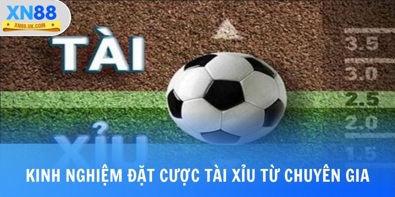 Kinh nghiệm đặt cược tài xỉu từ chuyên gia