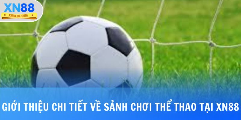 Giới thiệu chi tiết về sảnh chơi thể thao tại XN88